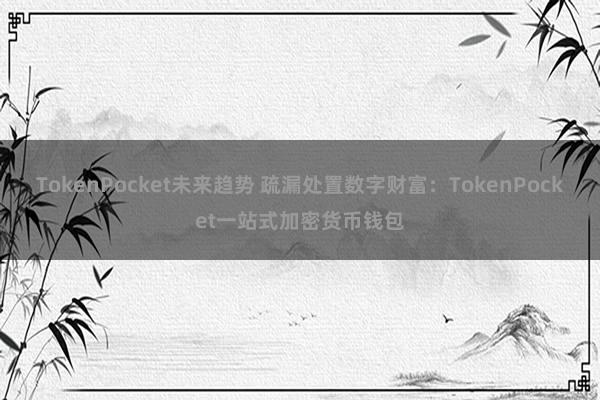 TokenPocket未来趋势 疏漏处置数字财富：TokenPocket一站式加密货币钱包